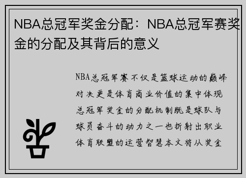 NBA总冠军奖金分配：NBA总冠军赛奖金的分配及其背后的意义