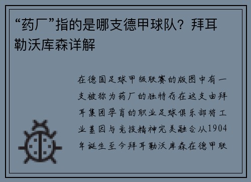 “药厂”指的是哪支德甲球队？拜耳勒沃库森详解